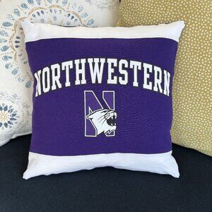 Northwestern University Wildcats Handmade rewored 16" Throw pillow cover
